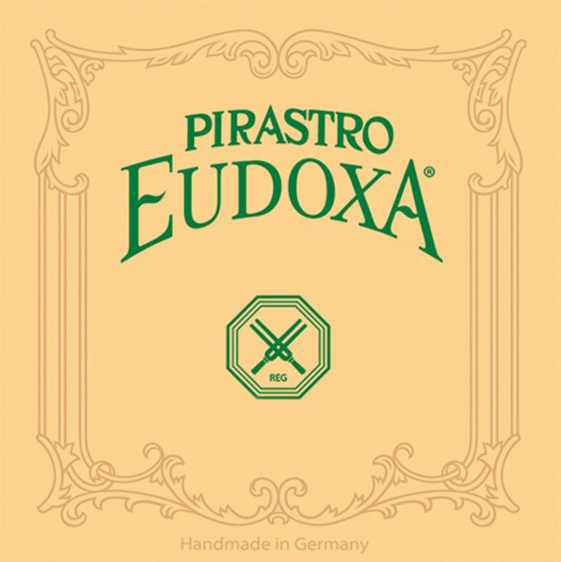 Eudoxa Violin D Gut/Al