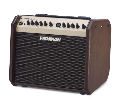 Loudbox Mini 60W ベース用アンプ Fishman Loudbox Mini 60W Amplifier