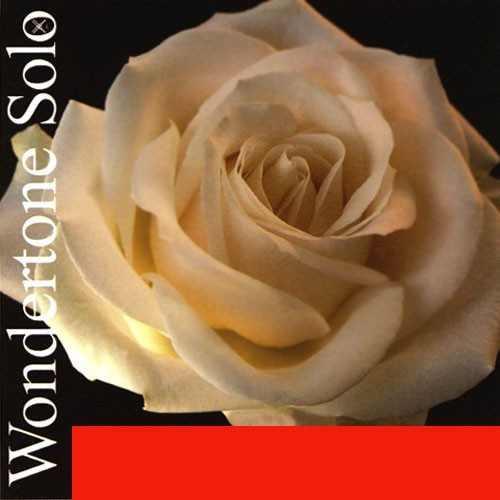 Wondertone Solo バイオリン全弦セット Pirastro Wondertone Solo Violin String Set