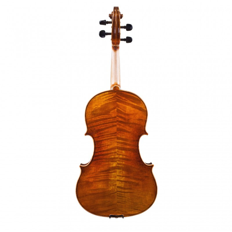 Holstein Traditional Panette Viola